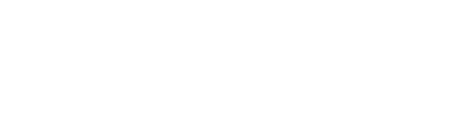 Besix Logo
